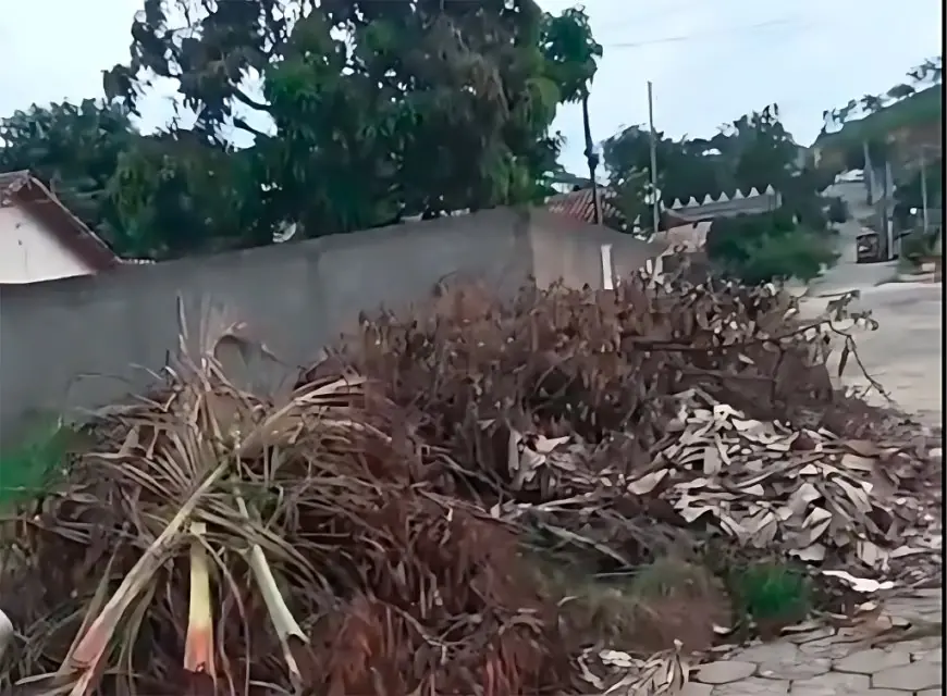 Moradores da Vila Esperança denunciam descaso e enfrentam transtornos causados por lixo e falta de infraestrutura